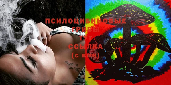спиды Елабуга