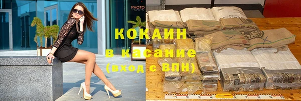 ПСИЛОЦИБИНОВЫЕ ГРИБЫ Елизово