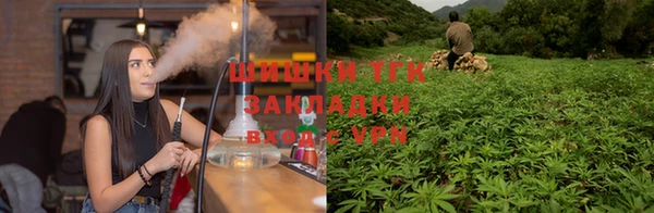 ПСИЛОЦИБИНОВЫЕ ГРИБЫ Елизово