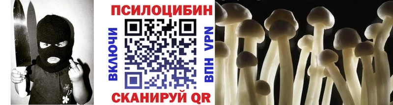 Галлюциногенные грибы Cubensis  Купить закладки  Шенкурск 